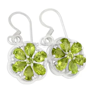 Natural Multi Gemstone earrings Suppliers In 925 Sterling Silver Jewelry 925SE493